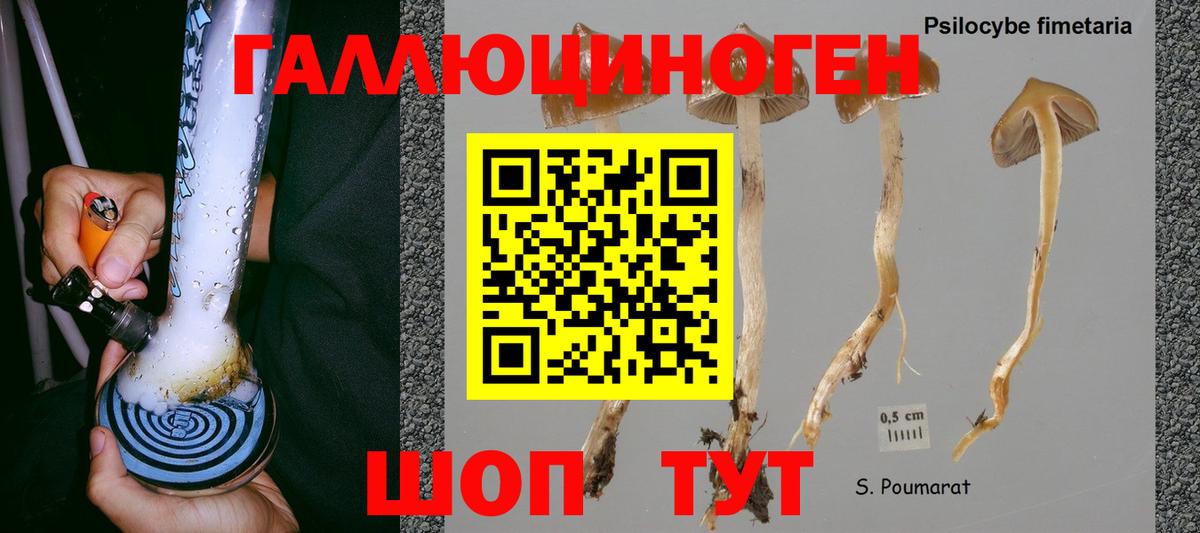 Псилоцибиновые грибы MAGIC MUSHROOMS  Галлюциногенные грибы мицелий  Сургут  Вход с VPN 