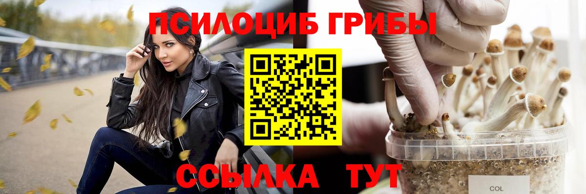 Галлюциногенные грибы MAGIC MUSHROOMS Сургут
